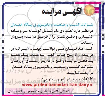 آگهی مزایده , مزایده فروش تعدادی دام شامل گوساله نر و ماده کشتاری و قطع شیر