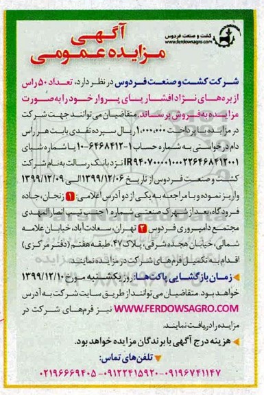 آگهی مزایده ,مزایده فروش تعداد 50 راس از بره های نژاد افشار پای پروار 