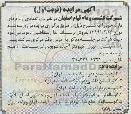 مزایده، مزایده فروش تعدادی از دام های مازاد 
