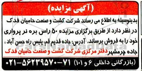 مزایده , مزایده 50 راس بره نر پرواری
