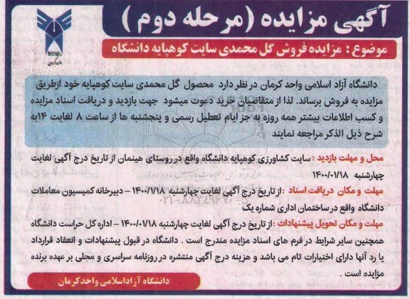 مزایده فروش گل محمدی مرحله دوم