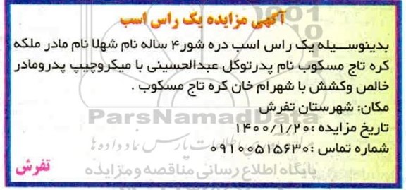 مزایده، مزایده یک راس اسب