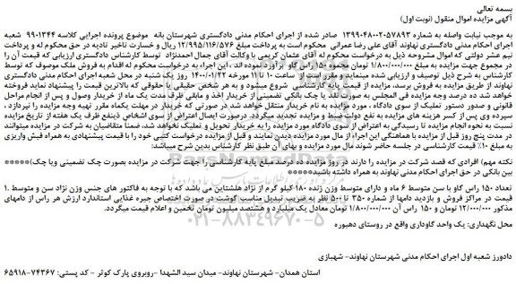 مزایده 150 راس گاو