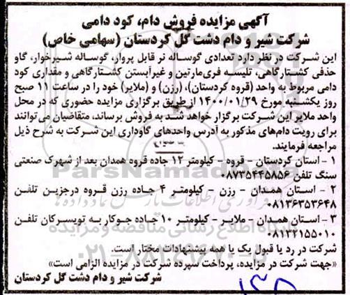 مزایده، مزایده تعدادی گوساله نر قابل پروار، گوساله شیرخوار، گاو حذفی کشتارگاهی،تلیسه فری مارتین 