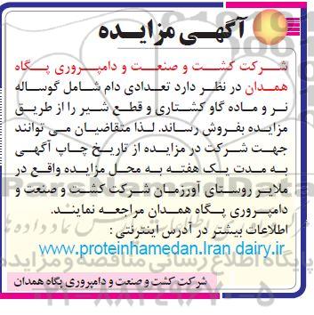آگهی مزایده , مزایده فروش تعدادی دام شامل گوساله نر و ماده کشتاری و قطع شیر