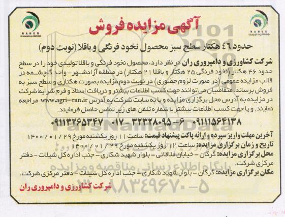 مزایده فروش حدود 46 هکتار سطح سبز محصول نخود فرنگی و باقلا - نوبت دوم