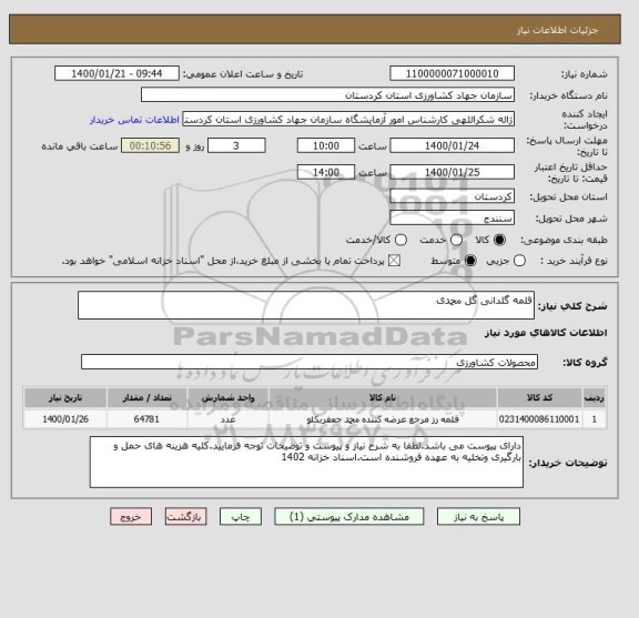 استعلام قلمه گلدانی گل محمدی