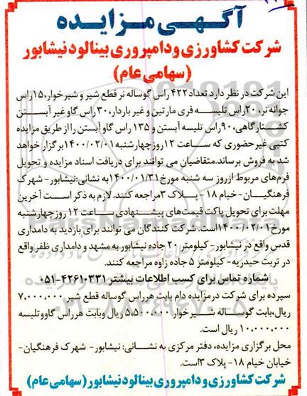 مزایده ، مزایده تعداد 422 راس گوساله نر قطع شیر و شیرخوار