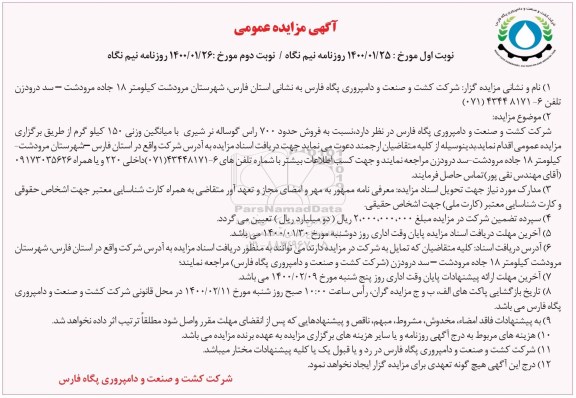 مزایده فروش حدود 700 رأس گوساله نر شیری 