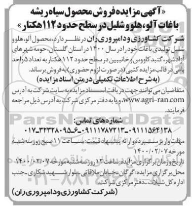 مزایده, مزایده فروش محصول سیاه ریشه باغات آلو، هلو و شلیل در سطح حدود 112 هکتار