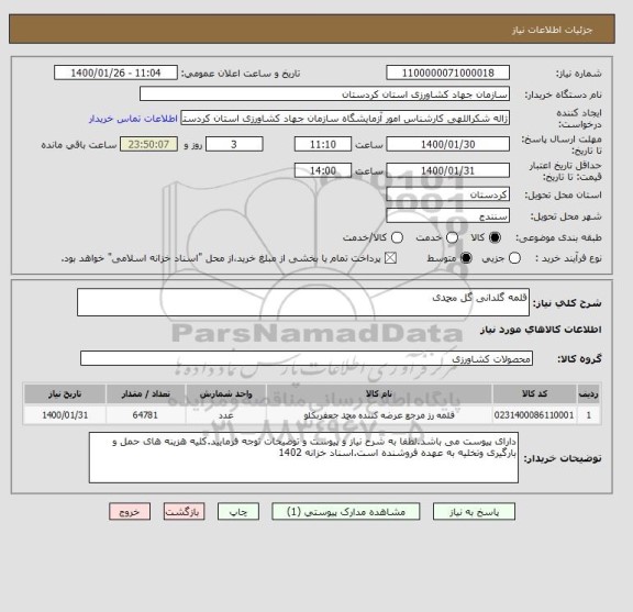 استعلام قلمه گلدانی گل محمدی