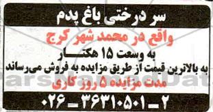 مزایده سردرختی باغ 
