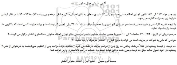 مزایده،مزایده فروش دو راس گاو شیری 