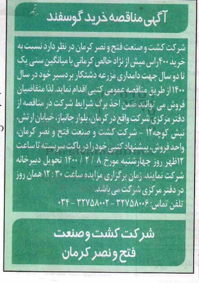 مناقصه خرید 400 راس میش 