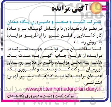 مزایده تعدادی دام