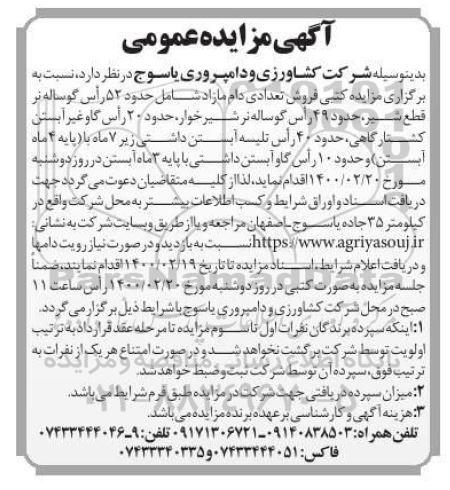 مزایده فروش تعدادی دام مازاد