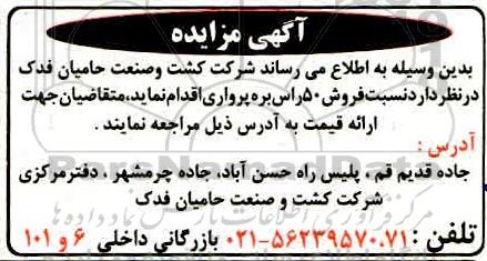 مزایده فروش 50 راس بره پرواری