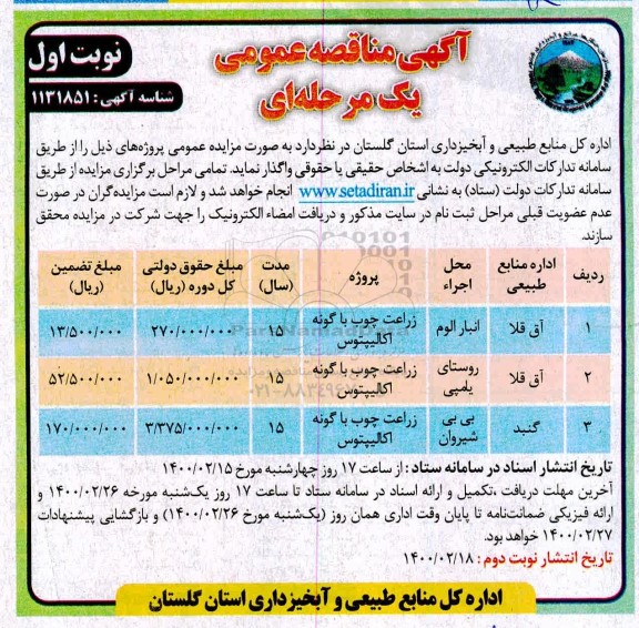 مناقصه زراعت چوب با گونه اکالیپتوس	