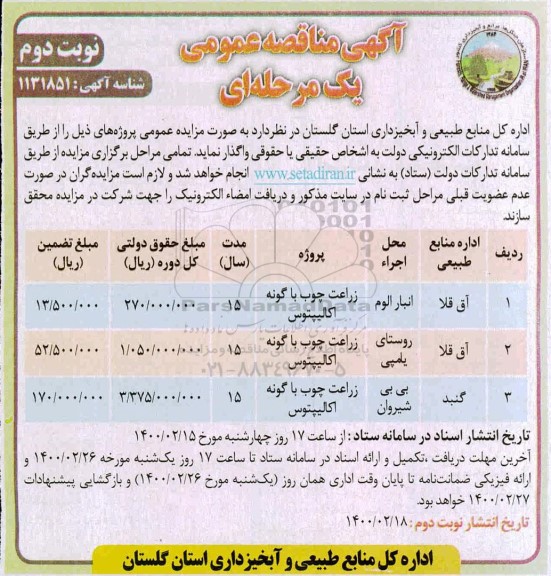 مناقصه زراعت چوب با گونه اکالیپتوس .. نوبت دوم 