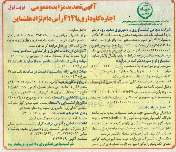 تجدید مزایده ، تجدید مزایده اجاره گاوداری با 414 راس دام نژاد هلشتاین