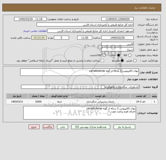 استعلام نهال اکالیپتوس 2 ساله از گوته camaldulensis