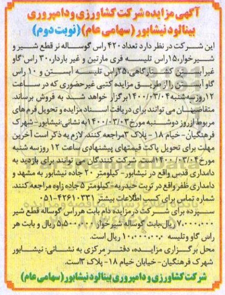 مزایده، مزایده فروش تعداد 420 راس گوساله نر قطع شیر... - نوبت دوم