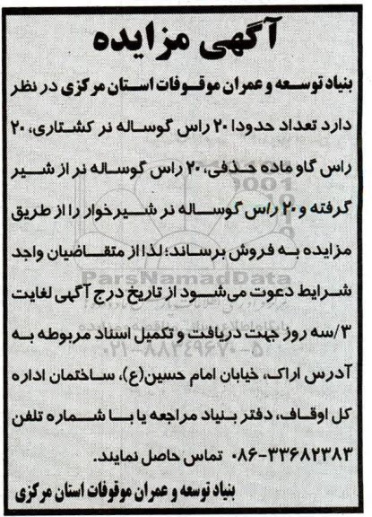 مزایده , مزایده فروش تعداد حدودا 20 راس گوساله نر کشتاری، 20 راس گاو ماده