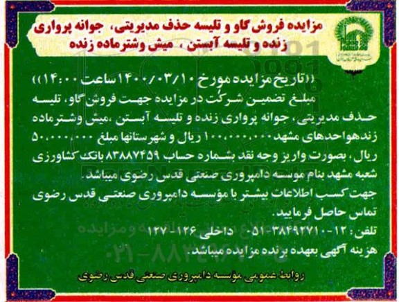 مزایده , مزایده فروش گاو و تلیسه حذف مدیریتی ، جوانه پرواری زنده