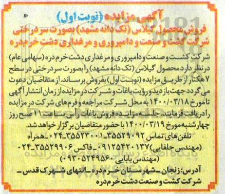 مزایده فروش محصول گیلاس تکدانه مشهد