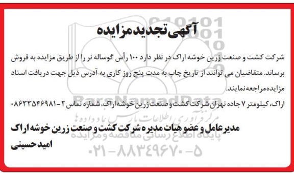 تجدید مزایده فروش 100 راس گوساله نر 