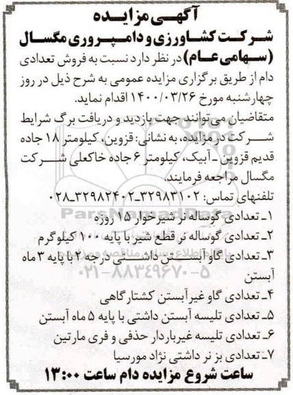 مزایده , مزایده فروش تعدادی دام 