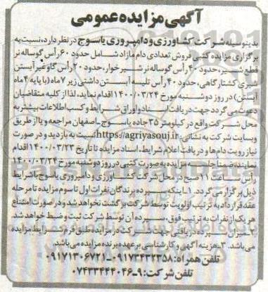 مزایده فروش تعدادی دام مازاد