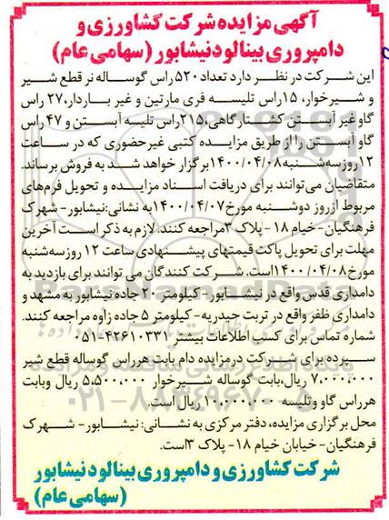 مزایده،مزایده فروش تعداد 520 راس گوساله نر قطع شیر