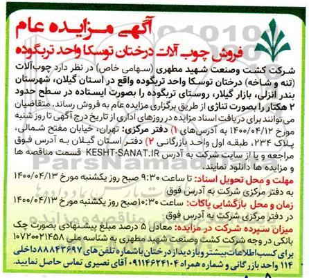 مزایده، مزایده عام فروش چوب آلات درختان توسکا 
