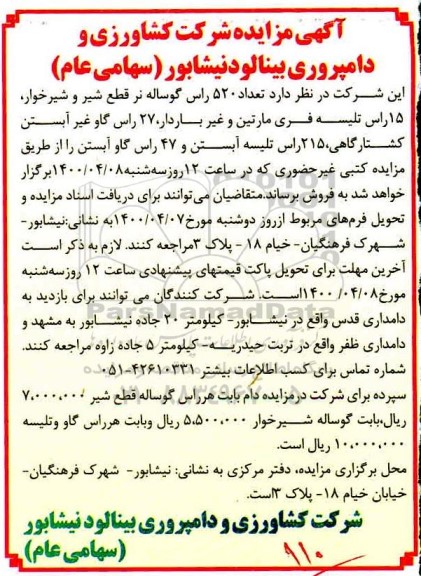 مزایده،مزایده فروش تعداد 520 راس گوساله نر قطع شیر و...