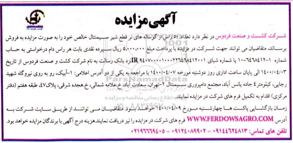 مزایده، مزایده فروش تعداد 50 راس از گوساله های نر قطع شیر سیمنتال خالص 