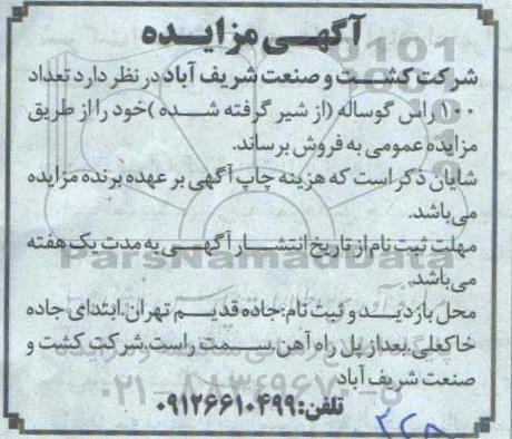 مزایدهف مزایده فروش تعداد 100 راس گوساله (از شیر گرفته شده)