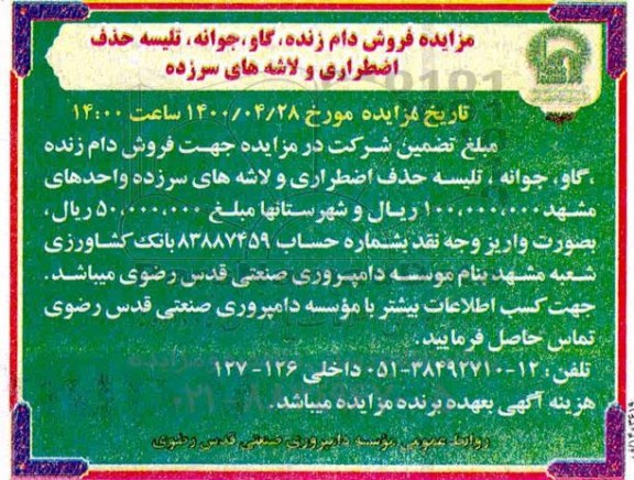 مزایده فروش دام زنده ، گاو ، جوانه ، تلیسه حذف اضطراری و لاشه های سرزده  