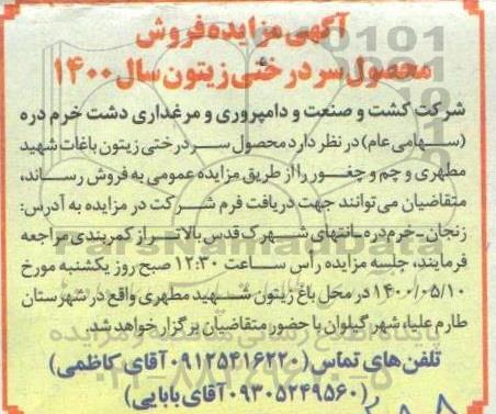 آگهی مزایده, مزایده فروش محصول سردرختی زیتون
