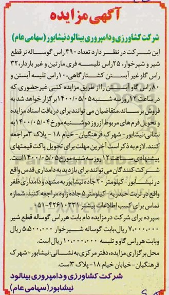مزایده، مزایده فروش تعداد 490 راس گوساله... 