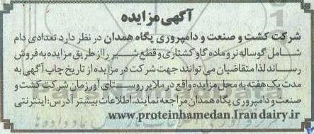 مزایده تعدادی دام