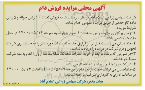 مزایده , مزایده فروش تعداد 10 راس جوانه و 5 راس ماده گاو حذفی