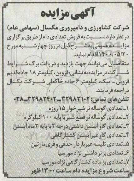 مزایده فروش تعدادی دام