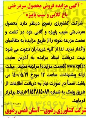 فروش محصول سردرختی باغ گلابی و سیب پاییزه