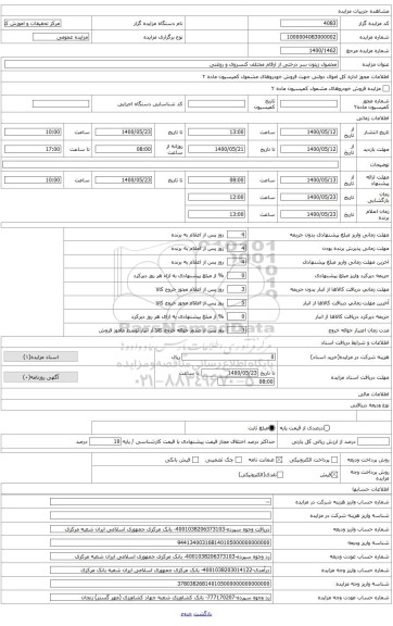 محصول زیتون سردرختی از ارقام کنسروی و روغنی