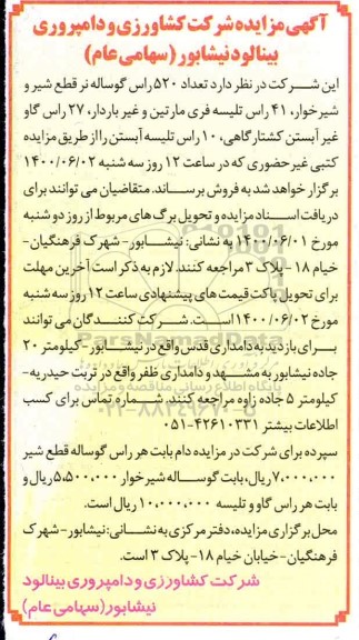 مزایده، مزایده فروش تعداد 520 راس گوساله ... 