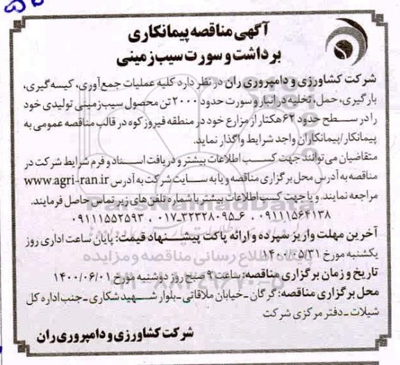 مناقصه،مناقصه عملیات جمع  آوری، کیسه گیری، بارگیری، حمل و تخلیه در انبار و سورت حدود 2000 تن سیب زمینی