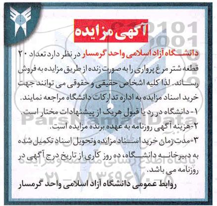 مزایده تعداد 20 قطعه شتر مرغ پرواری