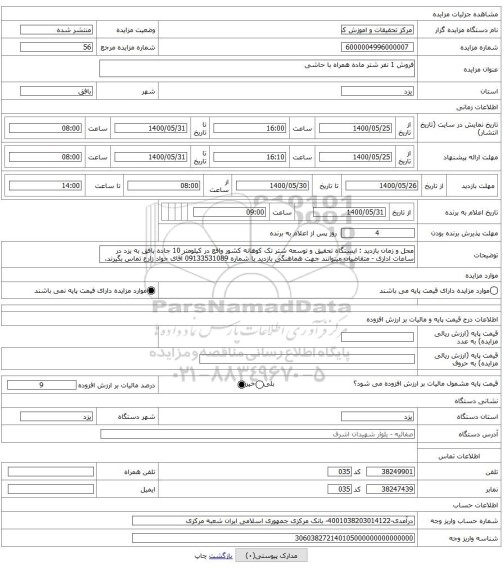 فروش 1 نفر شتر ماده همراه با حاشی
