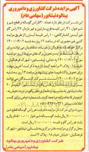 مزایده، مزایده فروش تعداد 520 راس گوساله ...